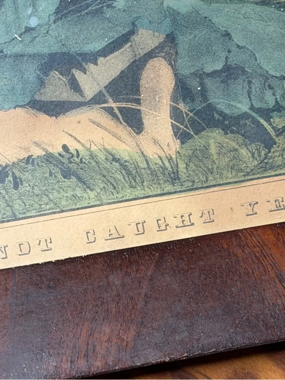 Edwin Landseer Not Caught Yet Framed Wooden Animal Lodge Hunting‎ Rustic Vintage